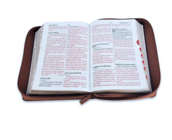 Biblia con Cierre Portátil 12 puntos RV1960, imit piel café ichtus con índice