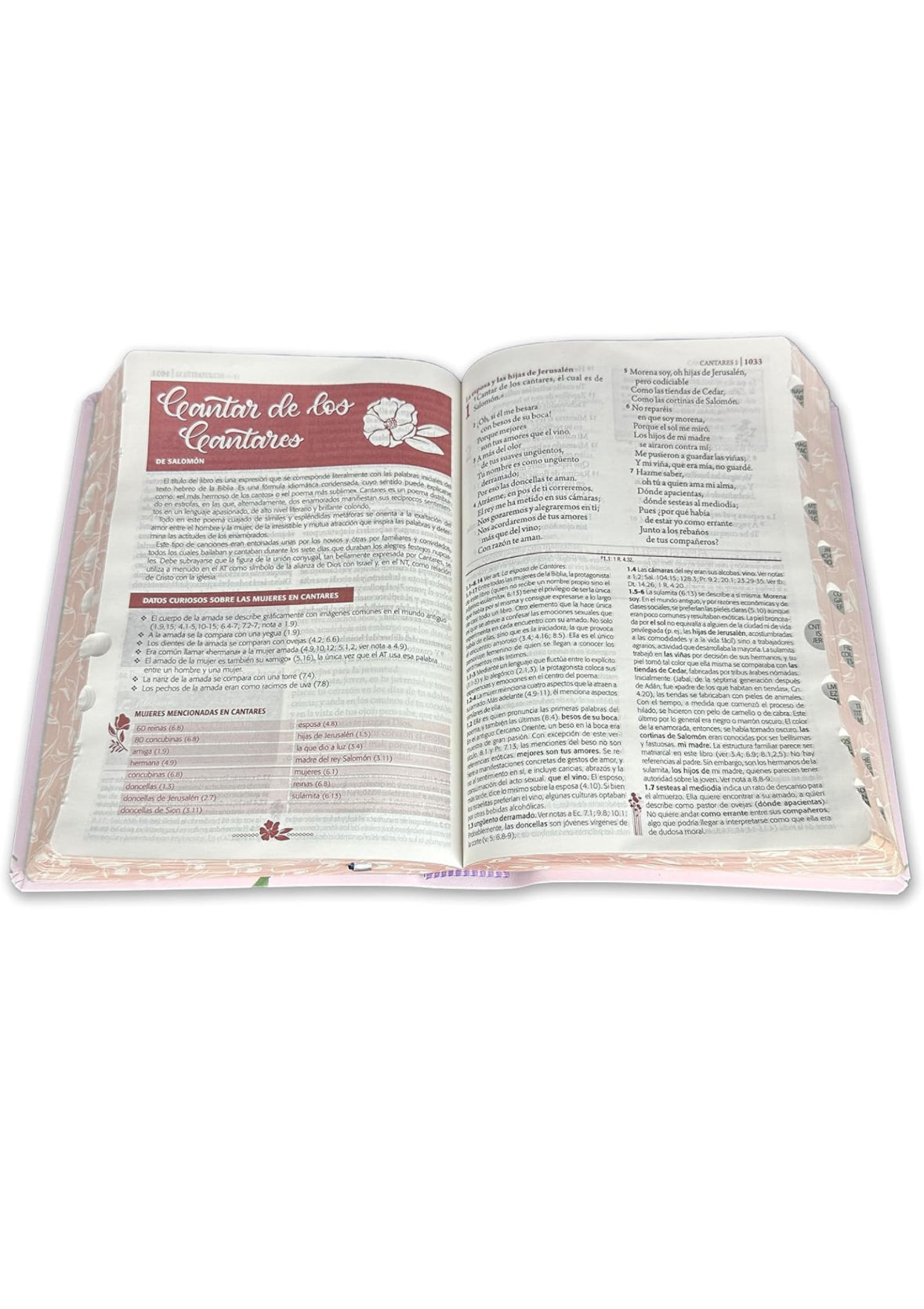 Biblia de estudio Ser Mujer letra grande Reina Valera 1960