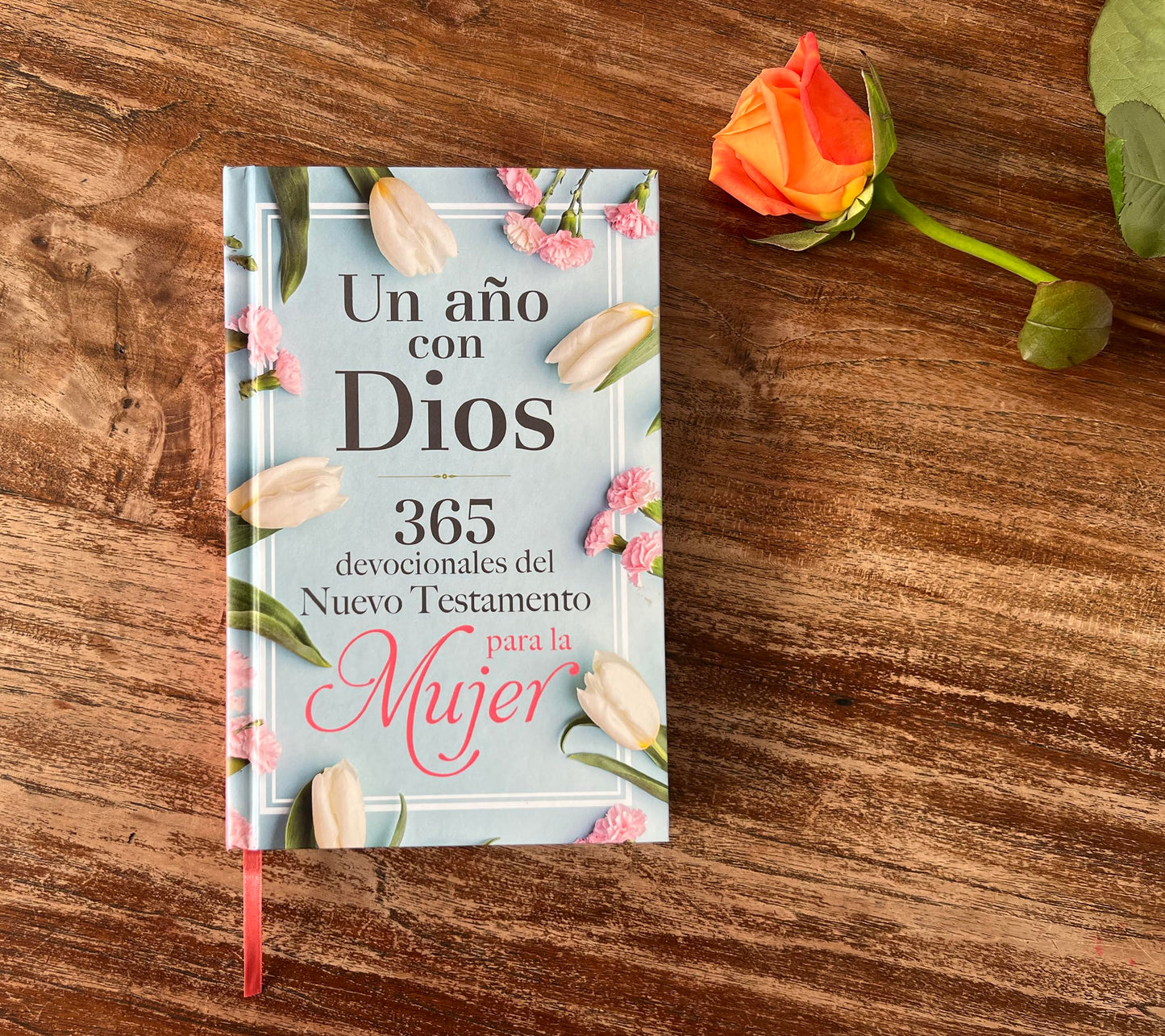 Un año con Dios en el Nuevo Testamento